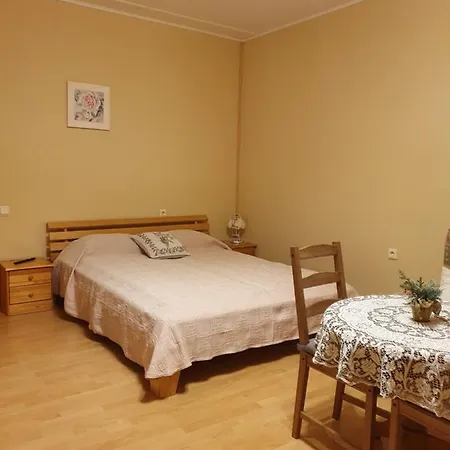 Renau Guest house 3*